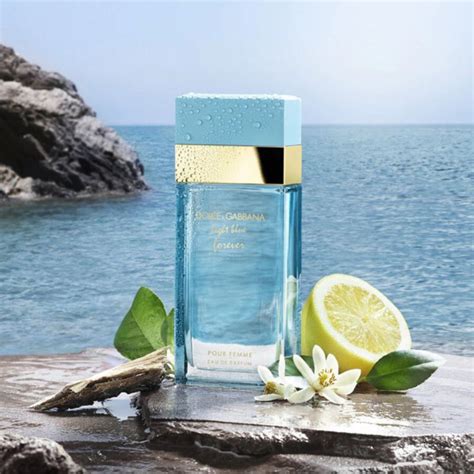 dolce gabbana light blue damen parfumo|dolce gabbana light blue femme.